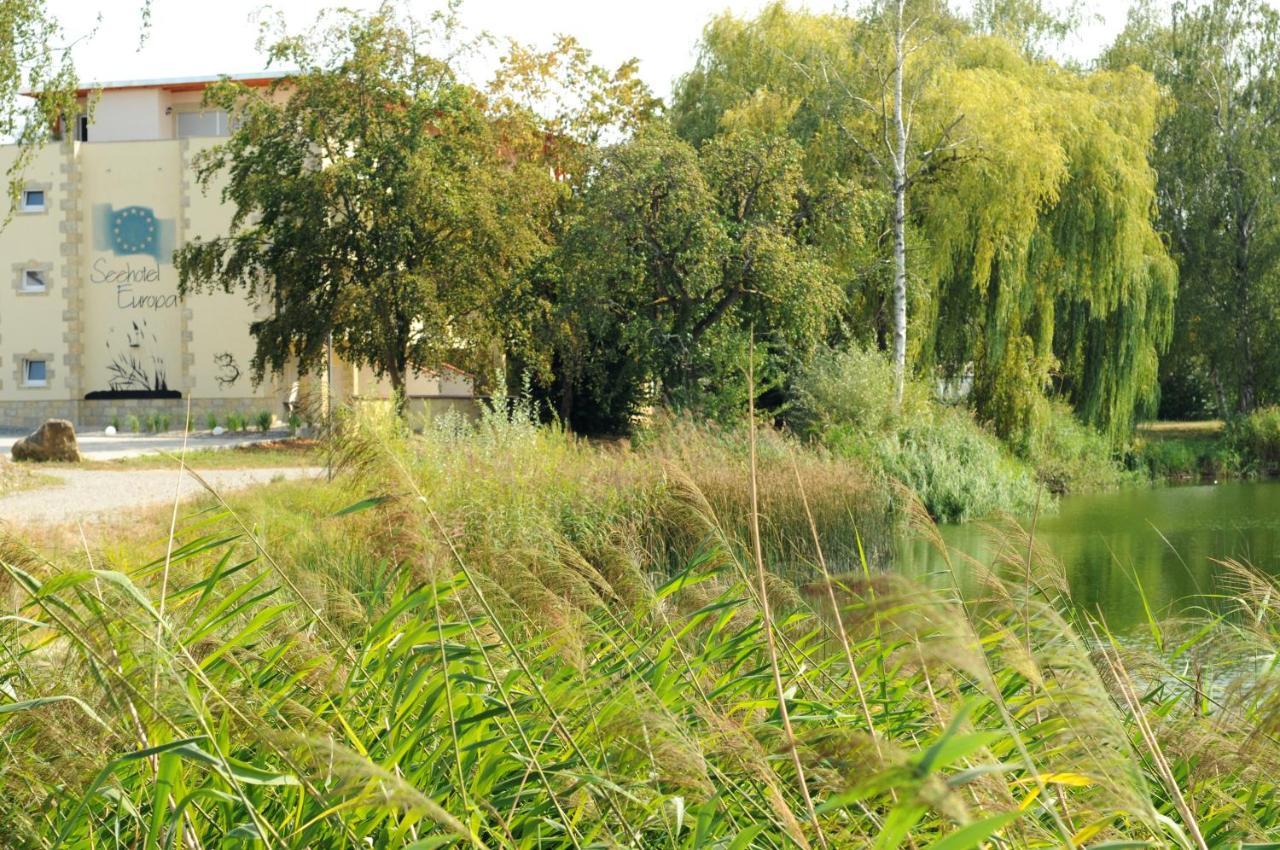 Seehotel Europa Lejlighedshotel Schwanau